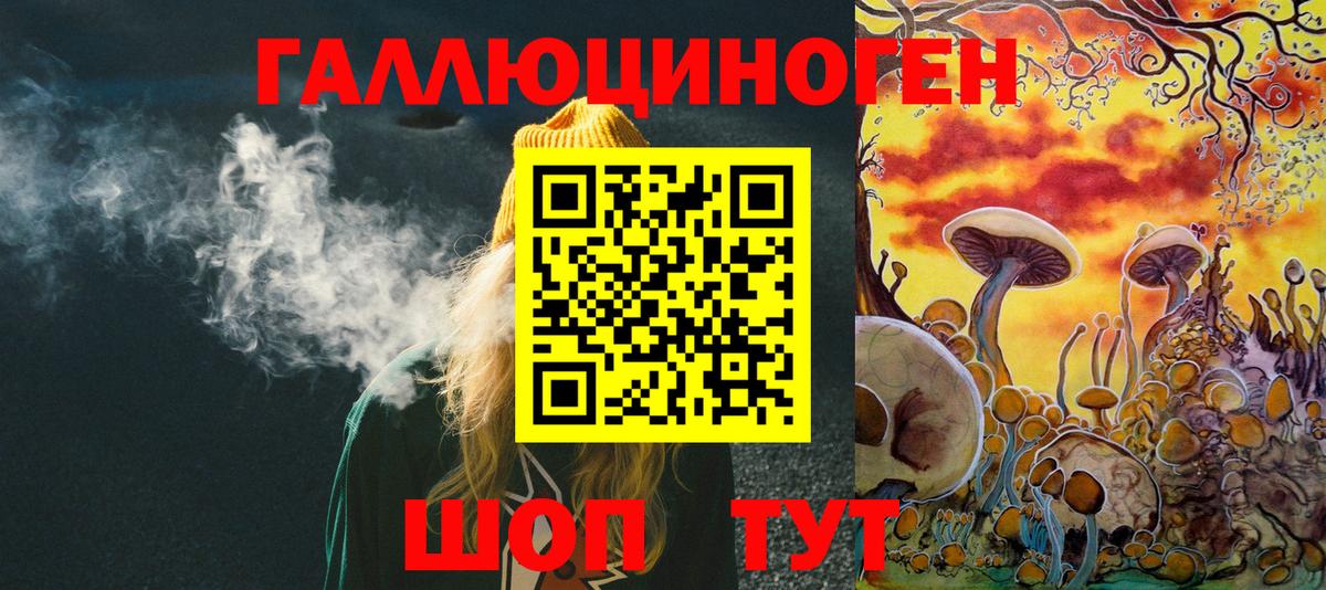 Галлюциногенные грибы Cubensis  Вход с VPN  Галлюциногенные грибы Psilocybine cubensis  Артём 