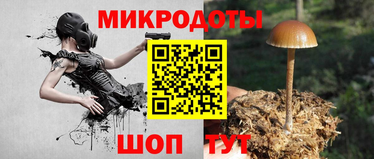 Псилоцибиновые грибы Magic Shrooms Артём